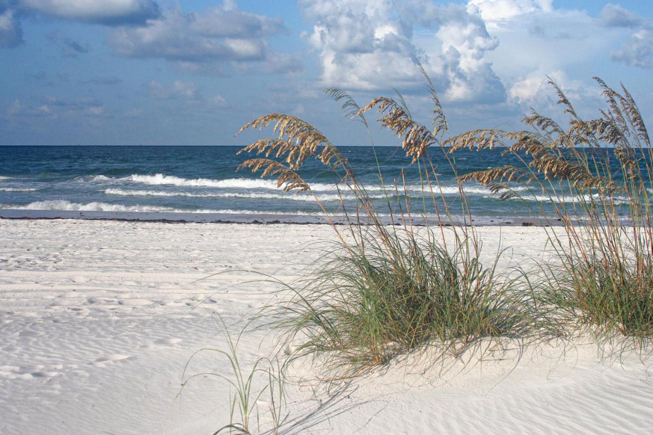 The Palm Condos St. Pete Beach Esterno foto